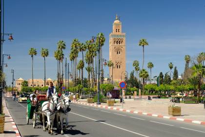 One Day Tour Exploring Marrakech